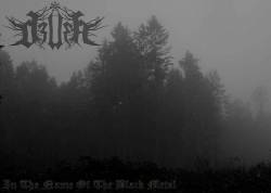 Dzvera : In the Name of the Black Metal
